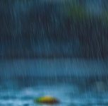 Pune Sees Massive Rainfall Drop: From Record 135 mm Last May to Just 19 mm This Year