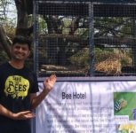 Pune Conservationist Builds Tallest Bee Hotel to Shelter Native Bees