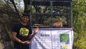 Tallest Bee Hotel