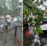 Heavy Rains Trigger Tree Fall Incidents Across Pune; Fire Brigade Mobilized