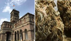 _ganja and Pune University