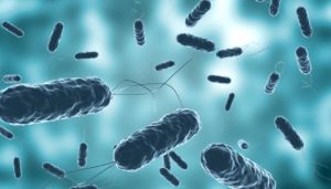 Cholera Scare