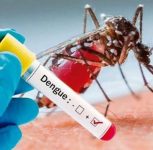 Pune: PMC Caps Dengue Test Charges at Rs 600, Bans Rapid Diagnostic Kits for Confirmation
