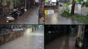 Rain Damage