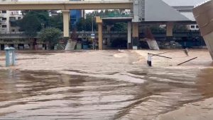 Bhide Bridge
