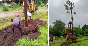 Govind Darshan Society Sets Example with Tree Re-Plantation