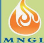 Pune: MNGL Boosts PNG Rollout by 250%, Installs 500 New Connections Daily Amid Rise in Demand