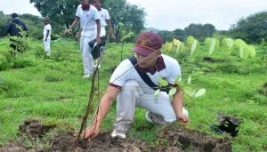 NDA Khadakwasla Undertakes Major Tree Plantation Drive