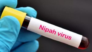 Nipah