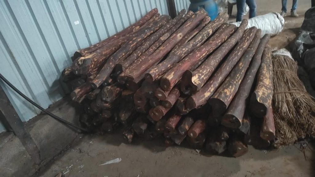 Pune DRI Unit Seizes Red Sanders Worth Rs 7.9 Crore From Smugglers