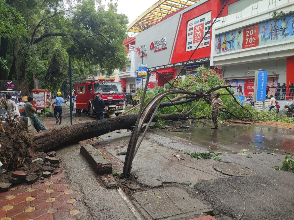 Tree Fallen In Pune Due To Rain