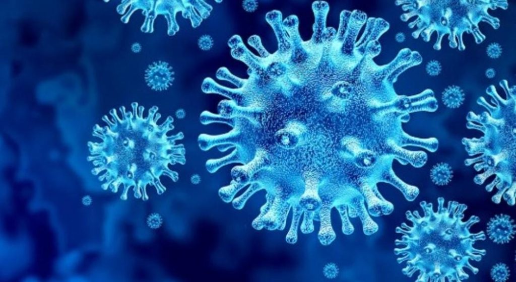 Virus