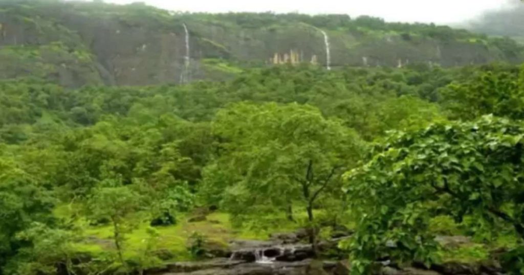 Bhimashankar Nature Trails