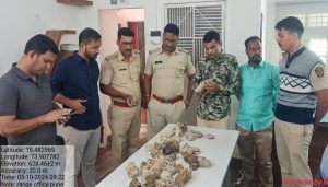 Coral Stones and Macaws Seized in Viman Nagar