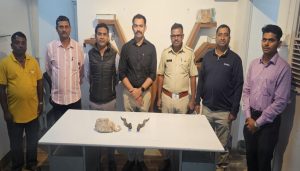 Chinkara Horns Seized in Pune