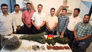 Forest Department Seizes Porcupine Quills