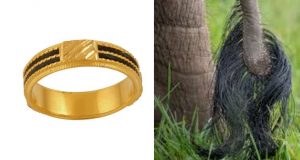 elephant hair in jewellery