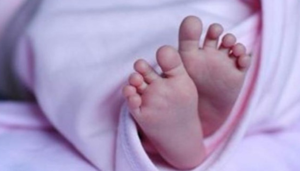 New Born