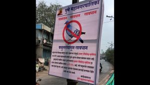 PMC Cracks Down on Feeding Pigeons in Open Areas Amid Health Concerns