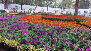 Empress Botanical Garden
