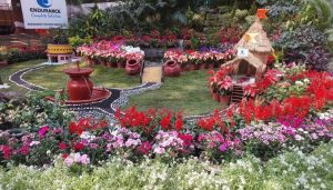 Flower Show at Empress Garden
