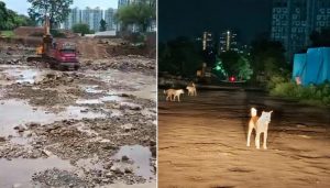 Keshav Nagar's Road Project Drags On