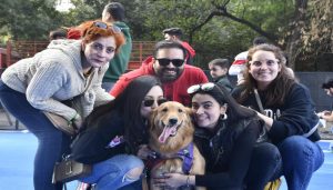 Pet Festival