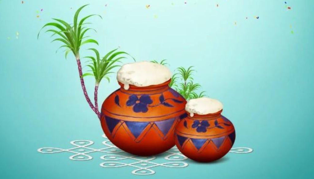 Pongal Festival