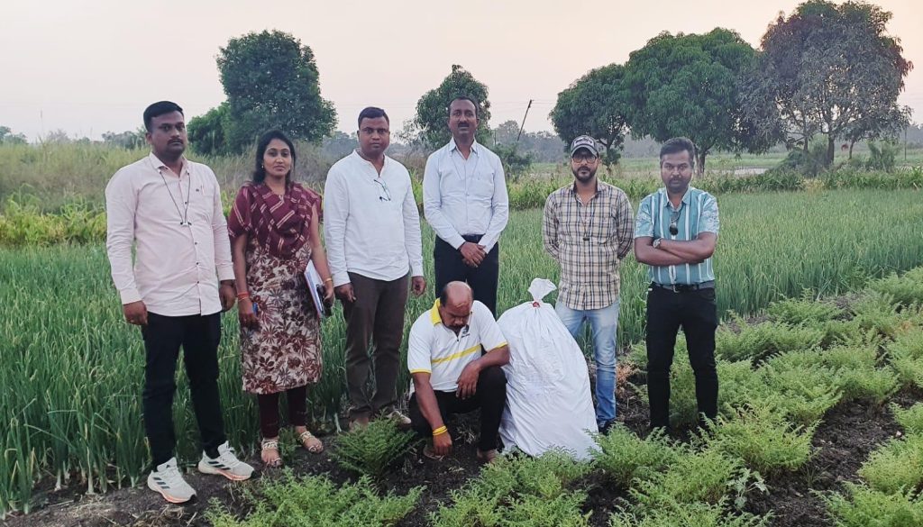 Pimpri Chinchwad Crime Branch Seizes Opium Grown with Onion Crops in Dehu