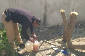 Activist Demands Action Against Illegal Tree Cutting in NIBM Annexe
