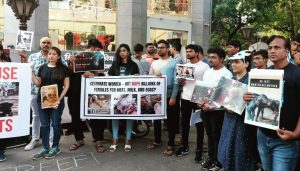 Animal Rights Activists Protest on FC Road