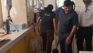 Bomb Threat Email Reported at DY Patil College in Akurdi