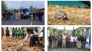 Maharashtra’s Turtle Rehabilitation Project