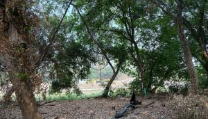 Pune's Ramnadi-Mula Devrai