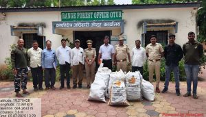 201 kg of Sandalwood Seized in Forest Department Raid in Junnar