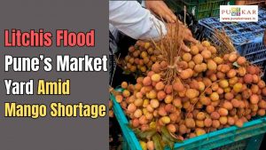 Litchis Flood Pune’s Market Yard