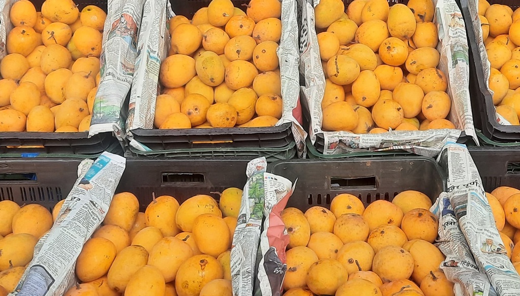 Mango