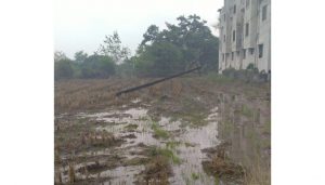 Power Supply Restored in Mulshi After Storm Damage