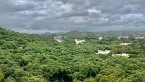 Supreme Court Admits Petition Against Balbharti-Paud Ph'ata Road Project