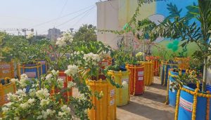 Terrace Garden