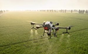 AI-Based Agri Policy