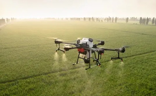 AI-Based Agri Policy