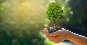 Environment day