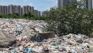 Hinjawadi's Garbage Crisis Threatens Mula River