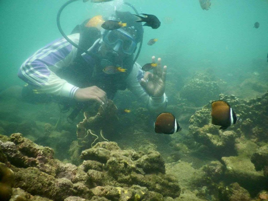 Snorkelling