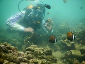 Snorkelling