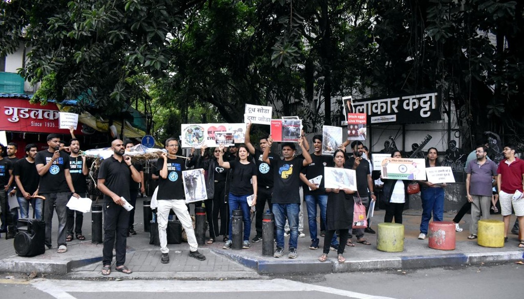 animal rights day