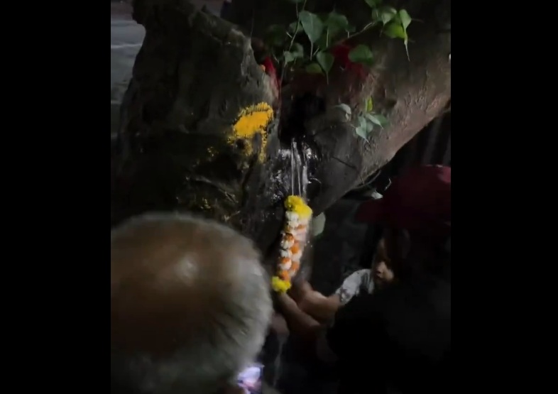 water leakage from tree in Pimpri