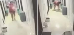 CCTV Captures Shocking Cat Abuse Incident in Baner