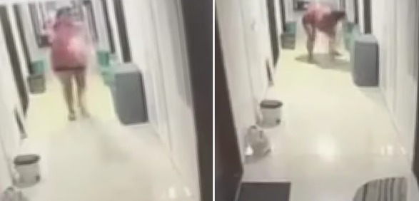 CCTV Captures Shocking Cat Abuse Incident in Baner